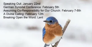 Coming online events for January – February 2026